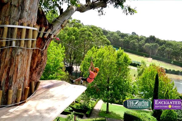 Enchanted Garden tree surfing