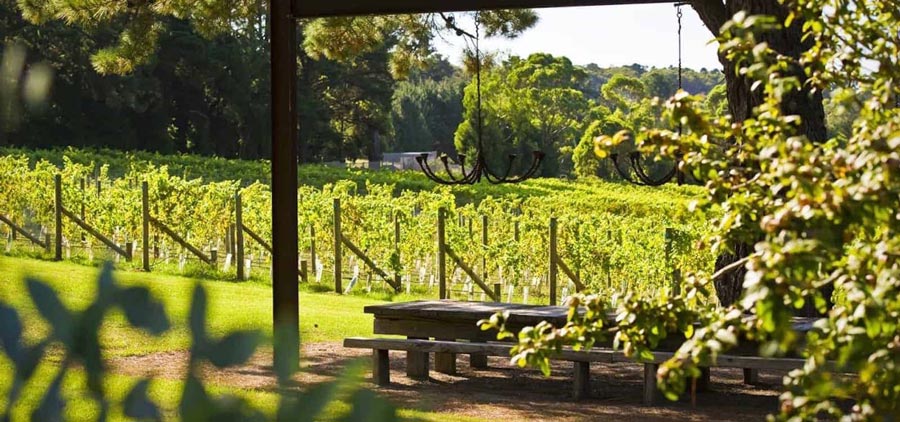 Mornington Peninsula wine tours