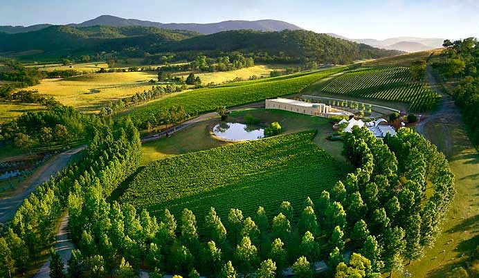 Yarra Valley wine tours