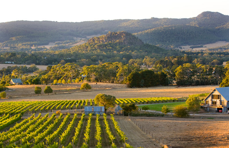 Mt Macedon wineries