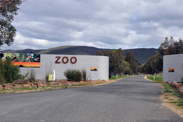 Halls Gap Zoo