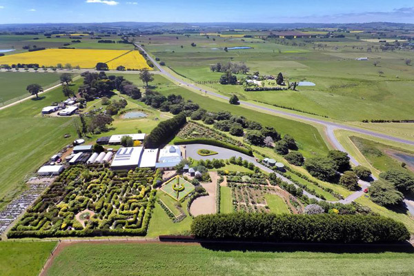 daylesford-the-tangled-maze