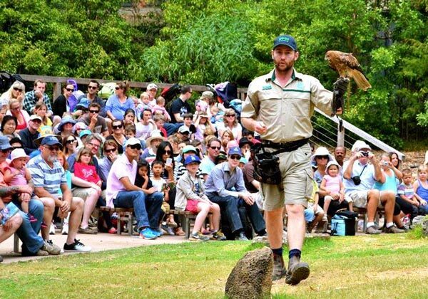 Healesville Sanctuary tours