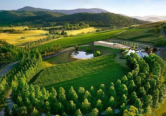 Yarra Valley wine tours